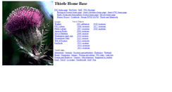 Desktop Screenshot of dthistle.home.infionline.net